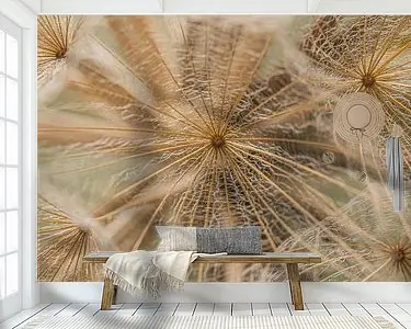 Wysoka jakość Abstractie: Close-up van de goudkleurige pluisjes van een Tragopogon