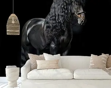 Oferta limitowana Statig portret van zwart Fries paard
