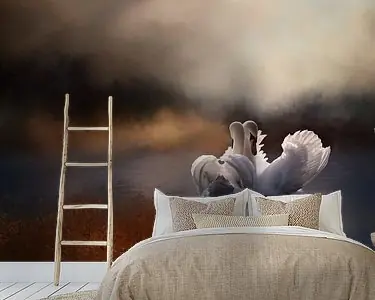 Zwanen In Het Water In Herfst Landschap Premium