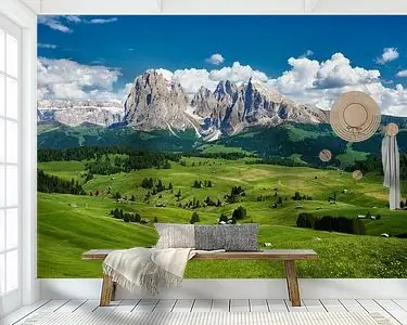 Alpe di Siusi in Zuid-Tirol met de Sassolungo-groep op de achtergrond Popularny