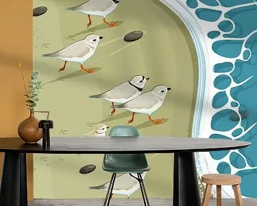 Oferta Bontbekplevieren Achtervolgen de Kustlijn