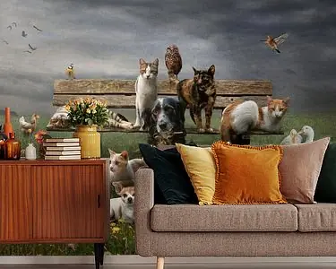 Oferta limitowana DierenportretHonden, katten, vogels, schildpadden en meer