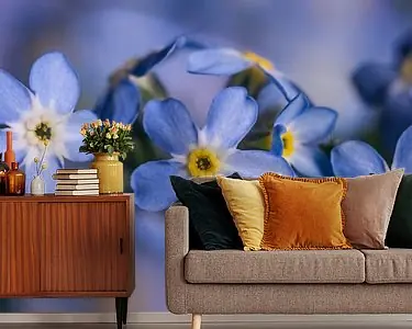 Tani Een panorama van blauwe vergeet-mij-nietjes op een rijtje