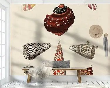 Oferta Deliciae Naturae selectae- G.W.Knorr, 1771 - Collectie Teylers Museum