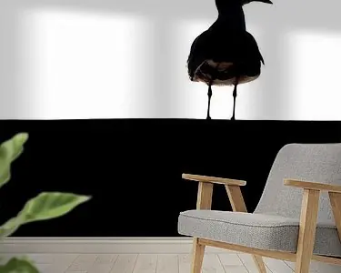 meeuw op het dak Ostatnia szansa