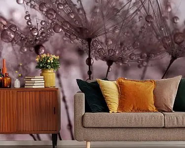 Zamów teraz Abstract oudroze: Een bos van pluisjes met druppels