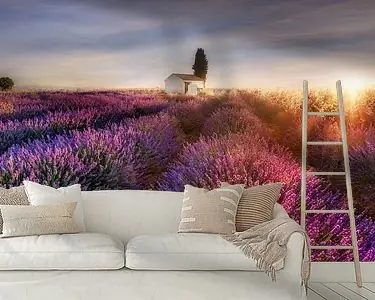 Lavendelveld in de Provence in Frankrijk in het ochtendlicht. Niska cena