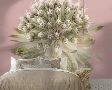 Eenvoudig stilleven in roze: Weerspiegeling van een Zeeuws knoopje Niska cena