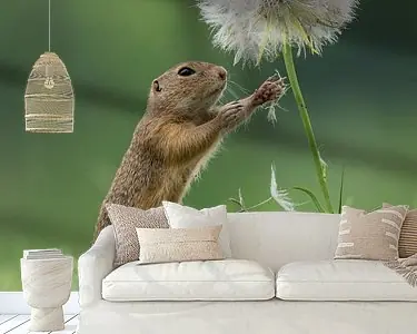 Grondeekhoorn met Paardenbloem Rabat