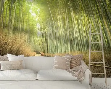 Zwrot pieniędzy Bamboo Forest,Kyoto, Japan