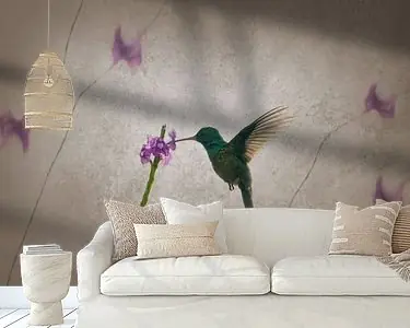 Kolibrie bij Paarse Bloei Vleugels in Stilte Ostatnia szansa