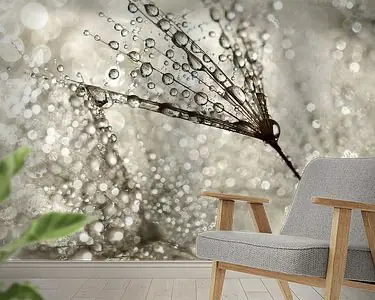 Paardenbloem Wysoka jakość