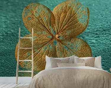 Hortensia blad op een waterig reflecterend petrol \\/ turquoise oppervlak Tylko dziś