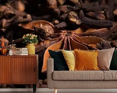 Panorama van steranijs en kruidnagel Popularny