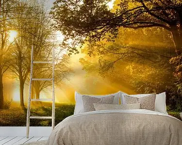 Niska cena Herfst in het Amsterdamse Bos