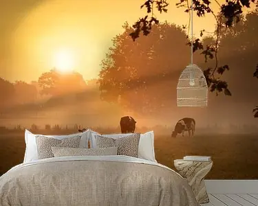 Rabat Koeien in de mist