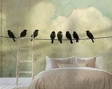 Vogels op een rij Niska cena