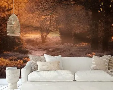 Ostatnia szansa Warm ochtendlicht van de zonsopkomst verlicht het winter landschap op het Nationaal park Dwingelderv