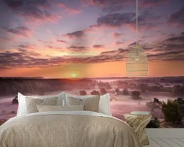 Paarse heide Zamów teraz