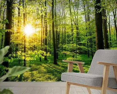 Zwrot pieniędzy Lente in het bos