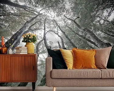 Mystieke bomen Ekspresowa dostawa