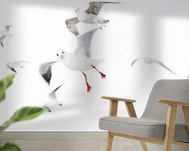 Meeuwen in highkey Bezpieczna płatność