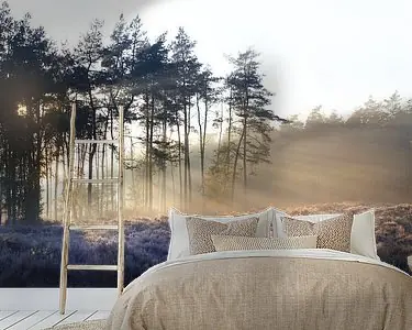 Oferta limitowana Bos panorama II