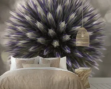 Najlepsza cena Een vierkantje met een ronde Kogeldistel