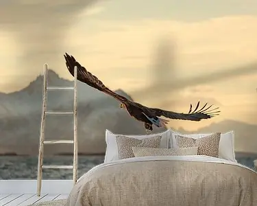 Oferta limitowana Zeearend jagend in de lucht