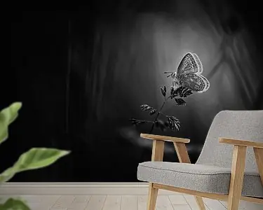 Zwrot pieniędzy Amazing Beauty