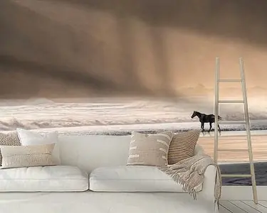 Promocja Paard in de zee bij zonsondergang