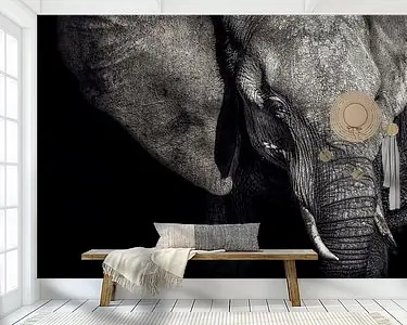 Zwrot pieniędzy De matriarch