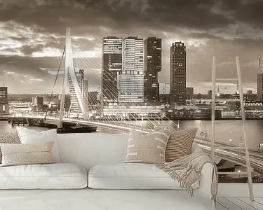 Ekspresowa dostawa Skyline Rotterdam Erasmusbrug - Vintage Brown