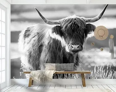 Wyprzedaż Portret van een Schotse hooglander