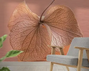 Promocja Het dansende hortensiablaadje: Fragiel en kwetsbaar