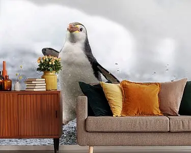 Szybka dostawa Rennende Royal Penguin (Eudyptes schlegeli)