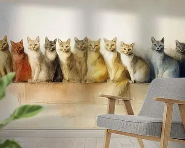 Niska cena De Kattenmuur no.4