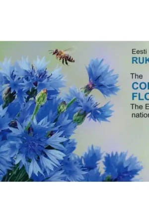 Oryginalny 2 Euro Estland 2024 'de Korenbloem' BU in Blister