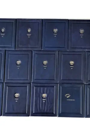 Proofset 1982 t/m 1995 (14 stuks) Wyprzedaż