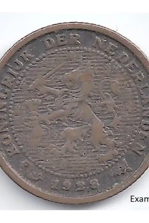 Szybka dostawa Nederland 1928 ½ Cent Wilhelmina ZF