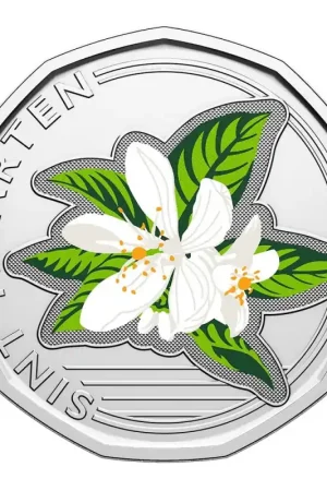 Sint-Maarten 2025 50 cent oranjebloesem met kleur Rabat