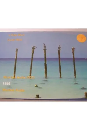 Premium FDC set Aruba 1989