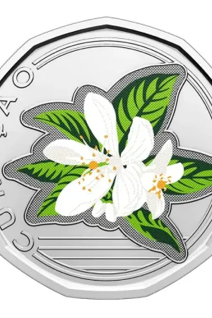 Wyprzedaż Curaçao 2025 50 cent oranjebloesem met kleur