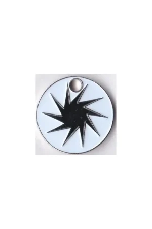 Szybka dostawa Winkelwagen munt Nederland Shell V-power Diesel