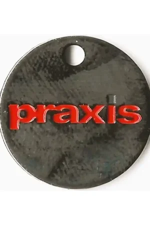 Winkelwagen munt Nederland Praxis (blauwe punt) Szybka dostawa