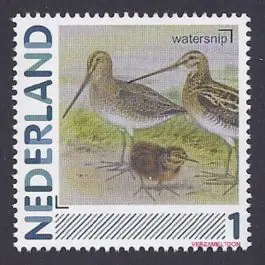 Kup teraz Nederland 2013: NVPH: 2791-Aa-68: "Vogels in Nederland": Watersnip:postfris