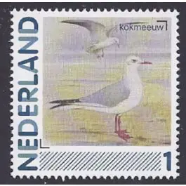 Bezpieczna płatność Nederland 2013: NVPH: 2791-Aa-33: "Vogels in Nederland": Kokmeeuw:postfris
