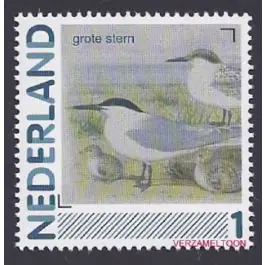 Wyprzedaż Nederland 2013: NVPH: 2791-Aa-21: "Vogels in Nederland": Grote Stern: postfris