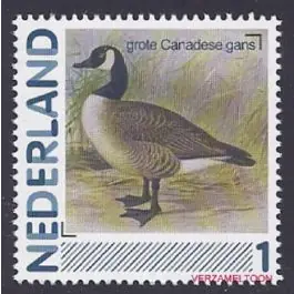 Nowość Nederland 2013: NVPH: 2791-Aa-19: "Vogels in Nederland": Grote Canadese Gans: postfris