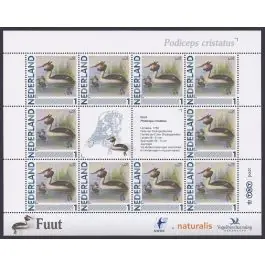 Ostatnia szansa Nederland 2012: NVPH: V2791-Aa-12: "Vogels in Nederland": Fuut: velletje postfris